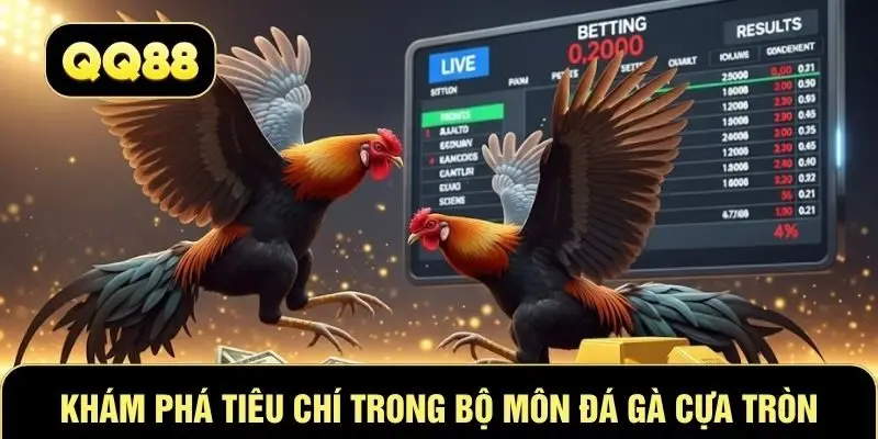 Khám phá tiêu chí trong bộ môn đá gà cựa tròn